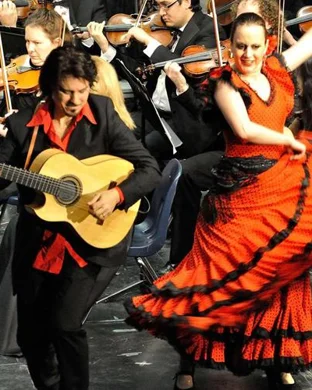 Latino Landia