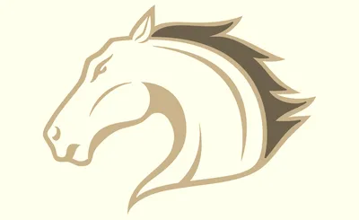 Texas Arlington Mavericks