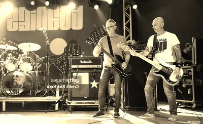 Toadies