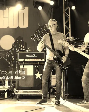 Toadies