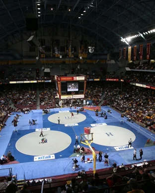 Micro Wrestling sports event